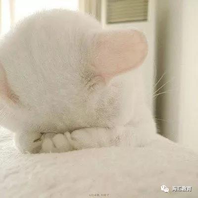 微信图片_20191006132844.jpg
